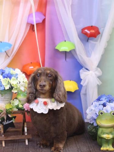 20230620ジョナくん